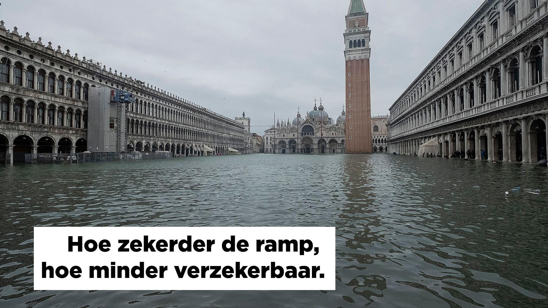 de verzekeraar