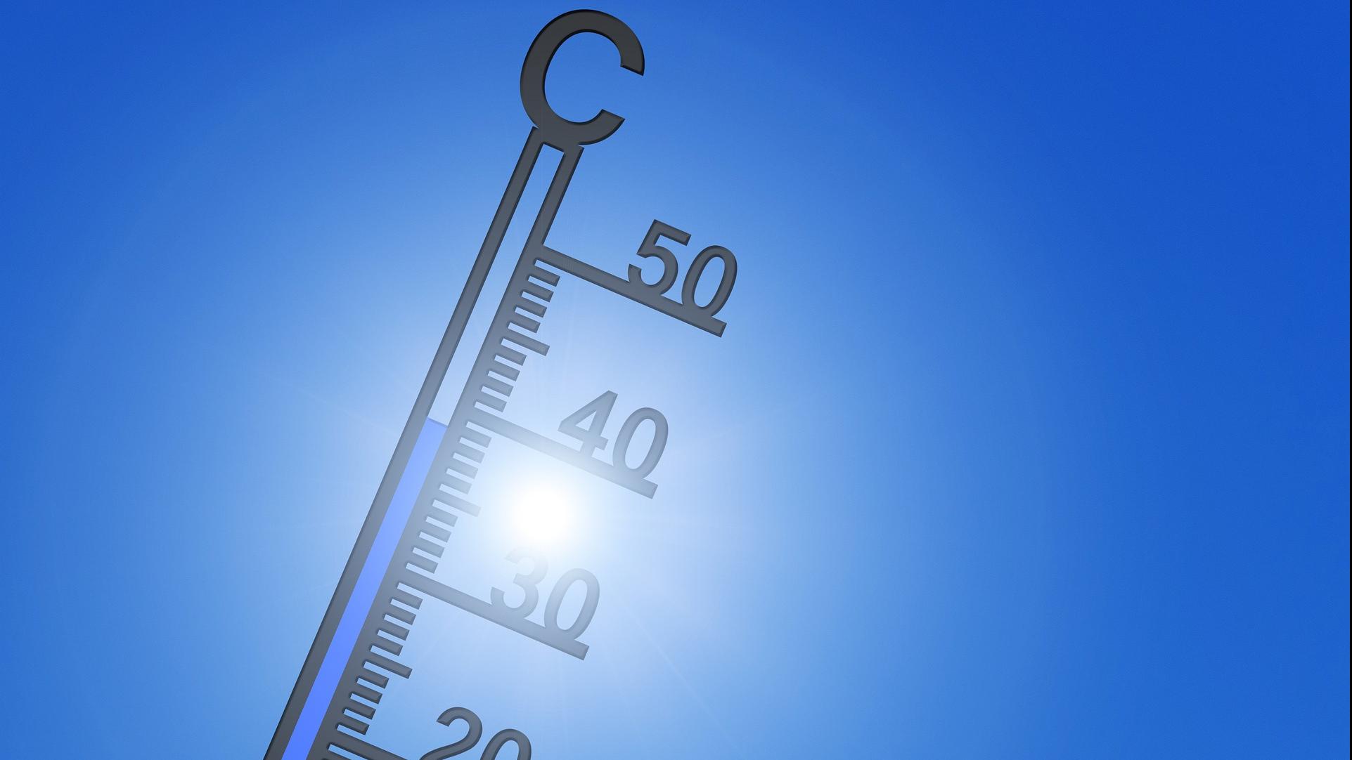 temp temp