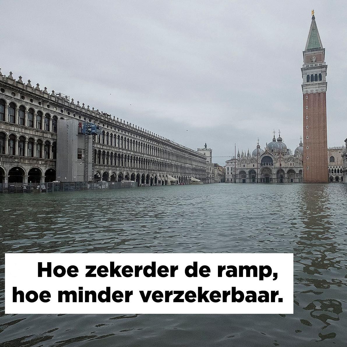 de verzekeraar